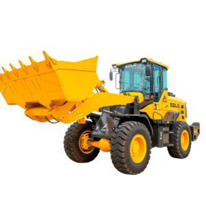 L938H